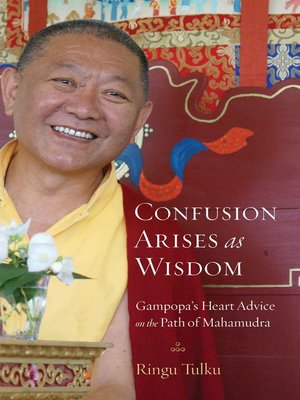 cover image of Confusion Arises as Wisdom